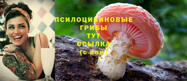 синтетический гашиш Вяземский